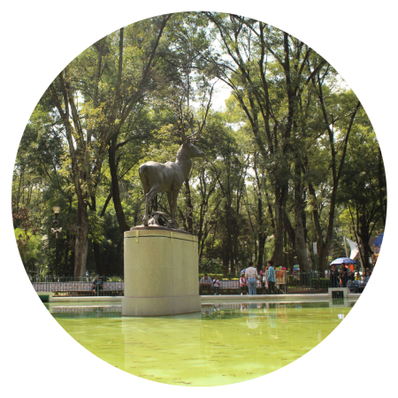 Parque de los venados